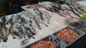 سعر السمك في سوق العبور: تراجع سعر البوري 40 جنيهاً وتأثيره على مبيعات التجزئة